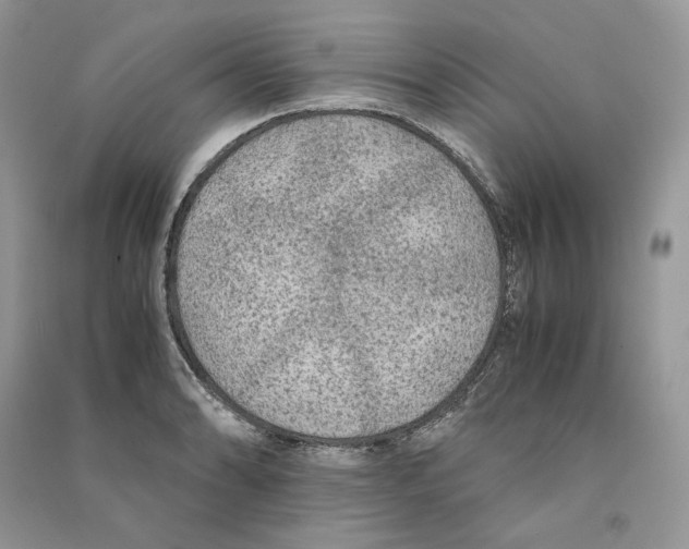 X0000090601086200708141326