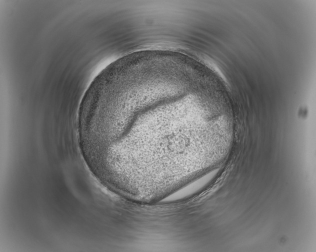 X0000090601087200708141326