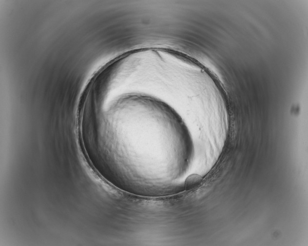 X0000090601088200708141326