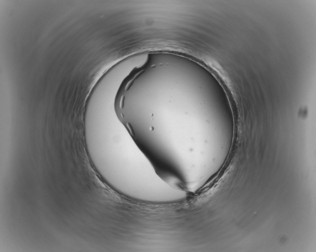 X0000090601089200708141326