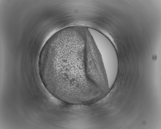 X0000090601091200708141326