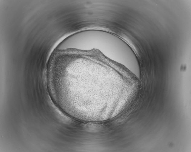 X0000090601092200708141326