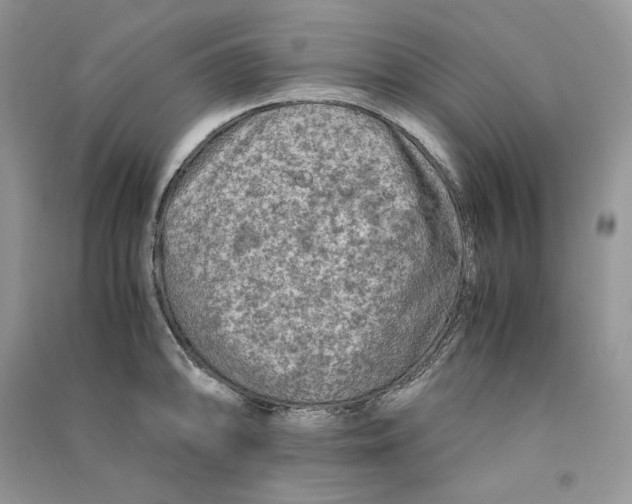 X0000090601094200708141326