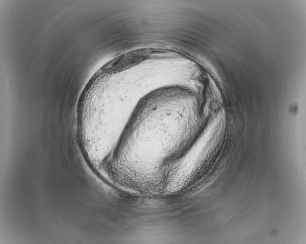 X0000090601095200708141326