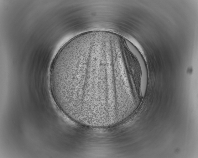 X0000090601096200708141326