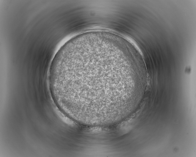 X0000090601098200708141326