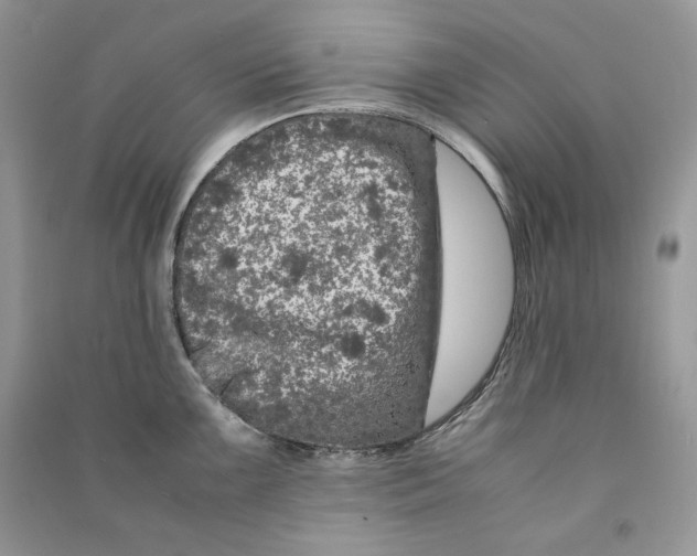 X0000090601099200708141326