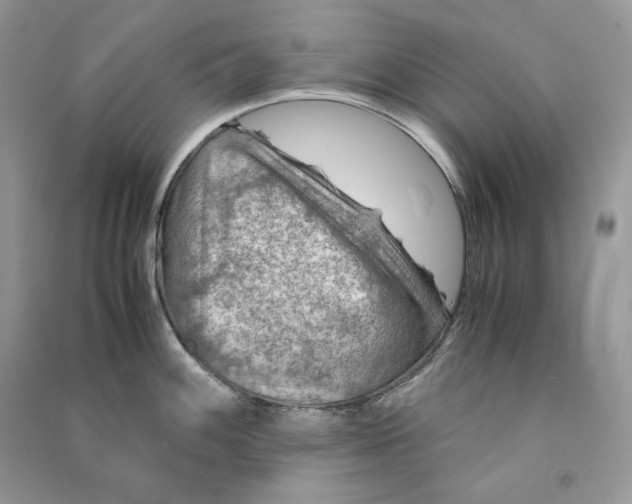 X0000090601100200708141325