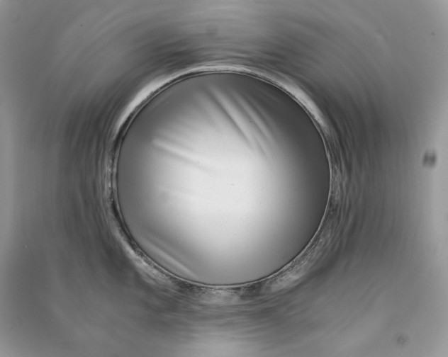 X0000090601101200708141325