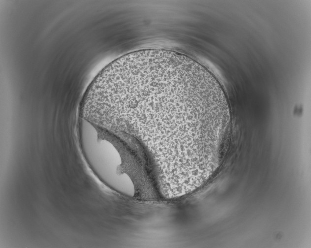 X0000090601103200708141325