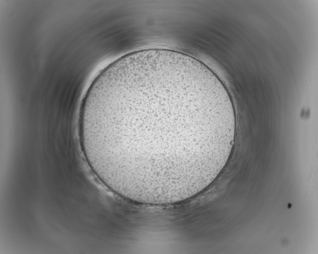 X0000090601104200708141325