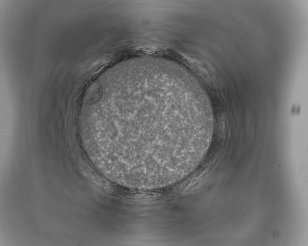 X0000090601105200708141325