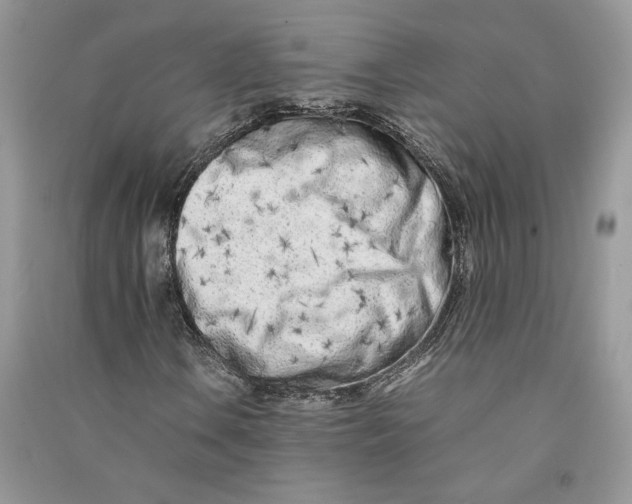 X0000090601106200708141325