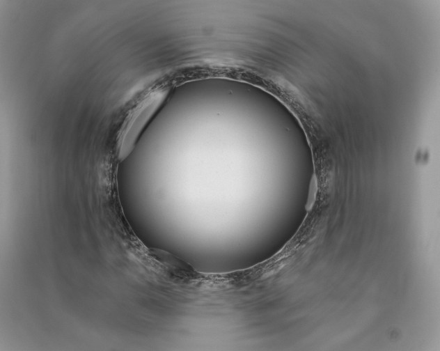 X0000090601110200708141325