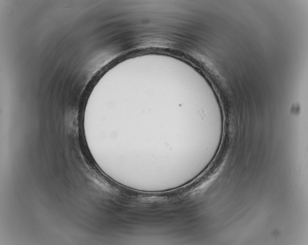 X0000090601113200708141325