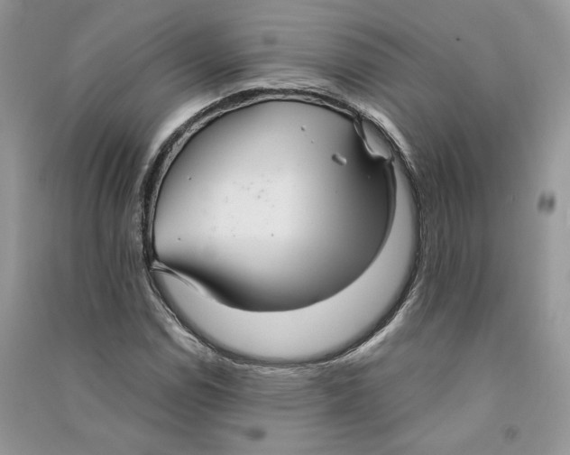 X0000090601114200708141325