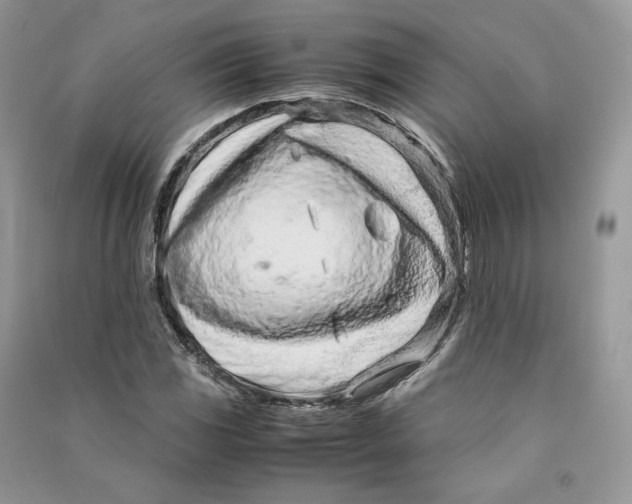 X0000090601117200708141325