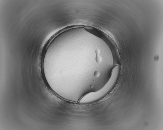 X0000090601120200708141325