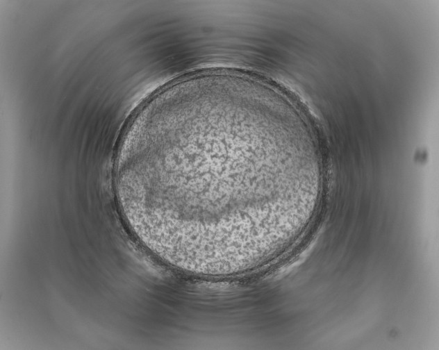 X0000090601121200708141325