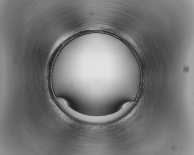 X0000090601122200708141325