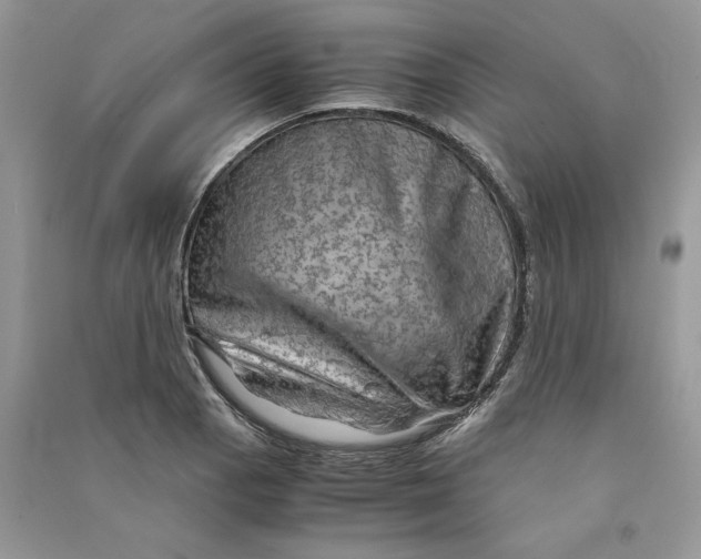 X0000090601129200708141325