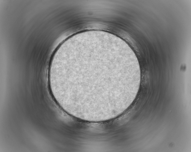 X0000090601130200708141325