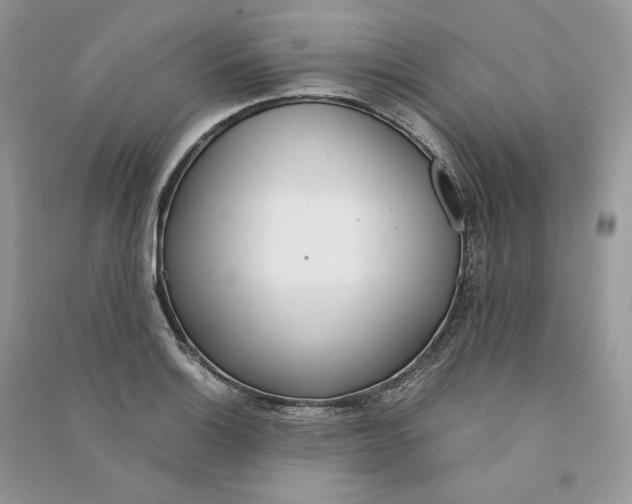 X0000090601132200708141325