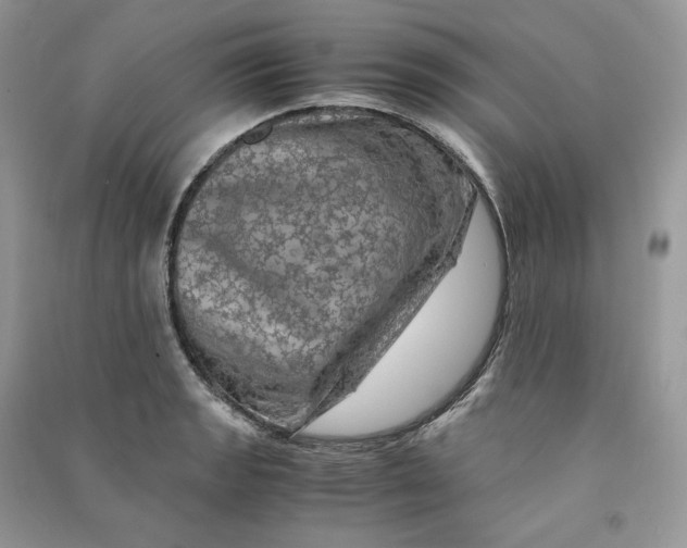 X0000090601133200708141325