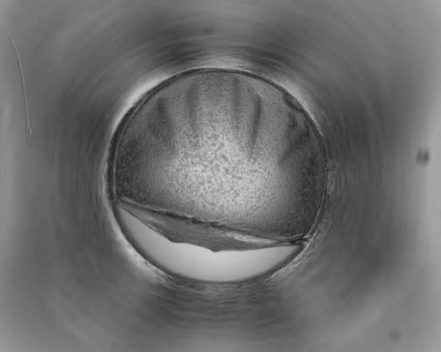 X0000090601139200708141325