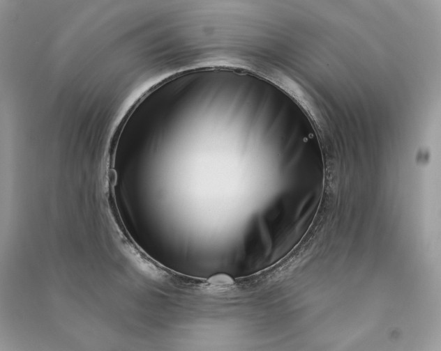 X0000090601140200708141325