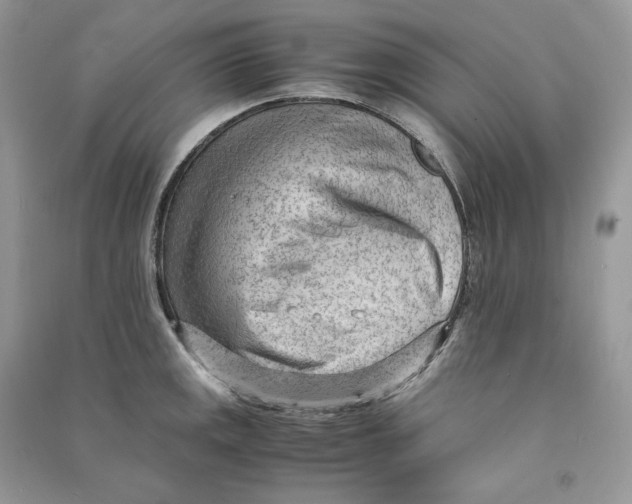 X0000090601141200708141325