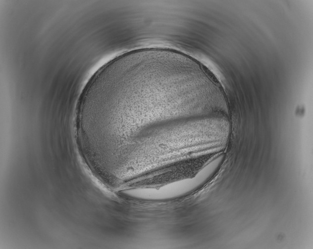 X0000090601142200708141325