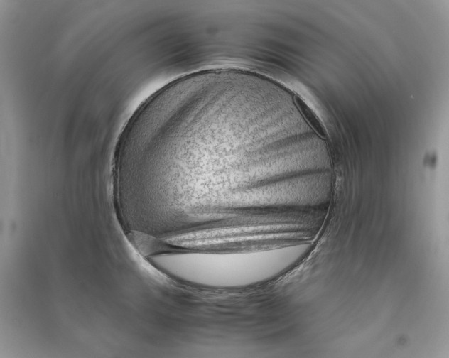 X0000090601143200708141325