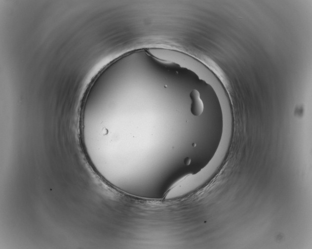 X0000090601144200708141325