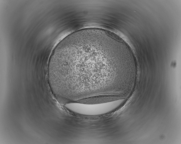 X0000090601145200708141325