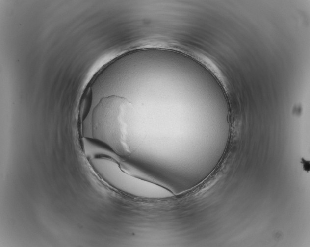 X0000090601146200708141325