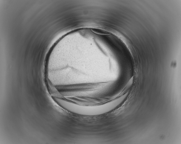 X0000090601147200708141325