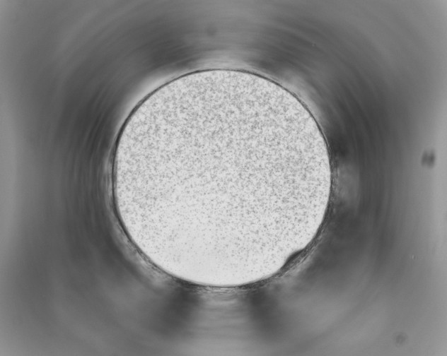 X0000090601150200708141325