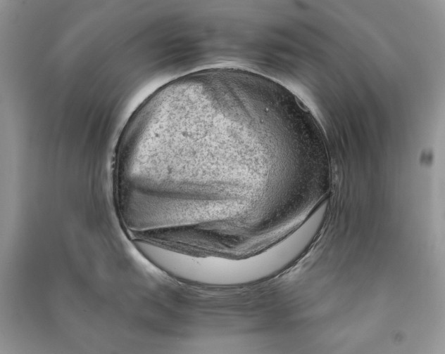 X0000090601151200708141325