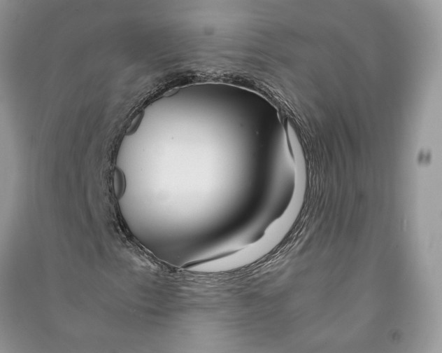 X0000090601153200708141325