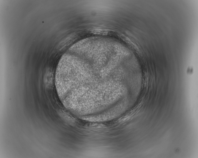 X0000090601154200708141325