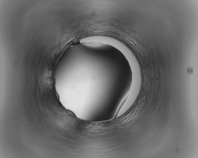 X0000090601156200708141325