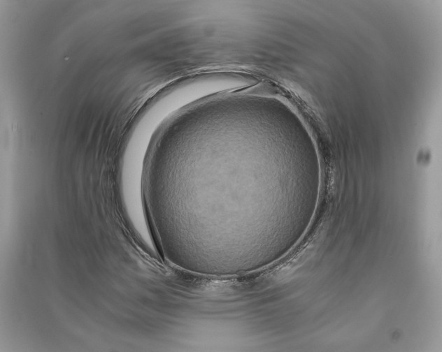 X0000090601161200708141325