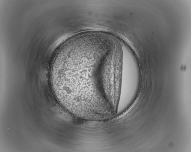 X0000090601163200708141325