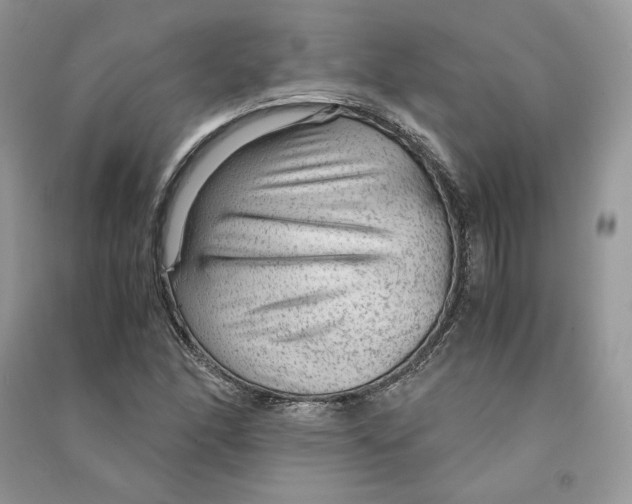 X0000090601166200708141324