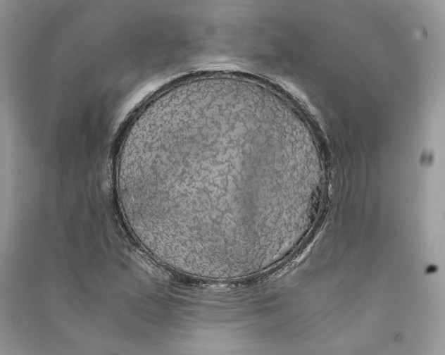 X0000090601167200708141324