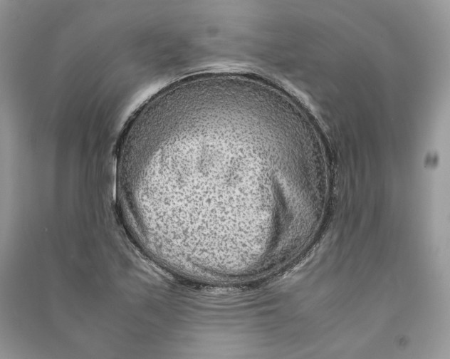 X0000090601171200708141324