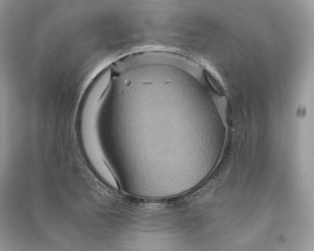 X0000090601173200708141324