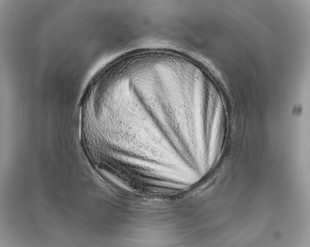 X0000090601175200708141324