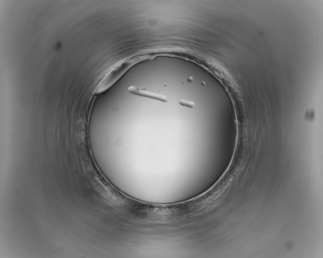 X0000090601177200708141324